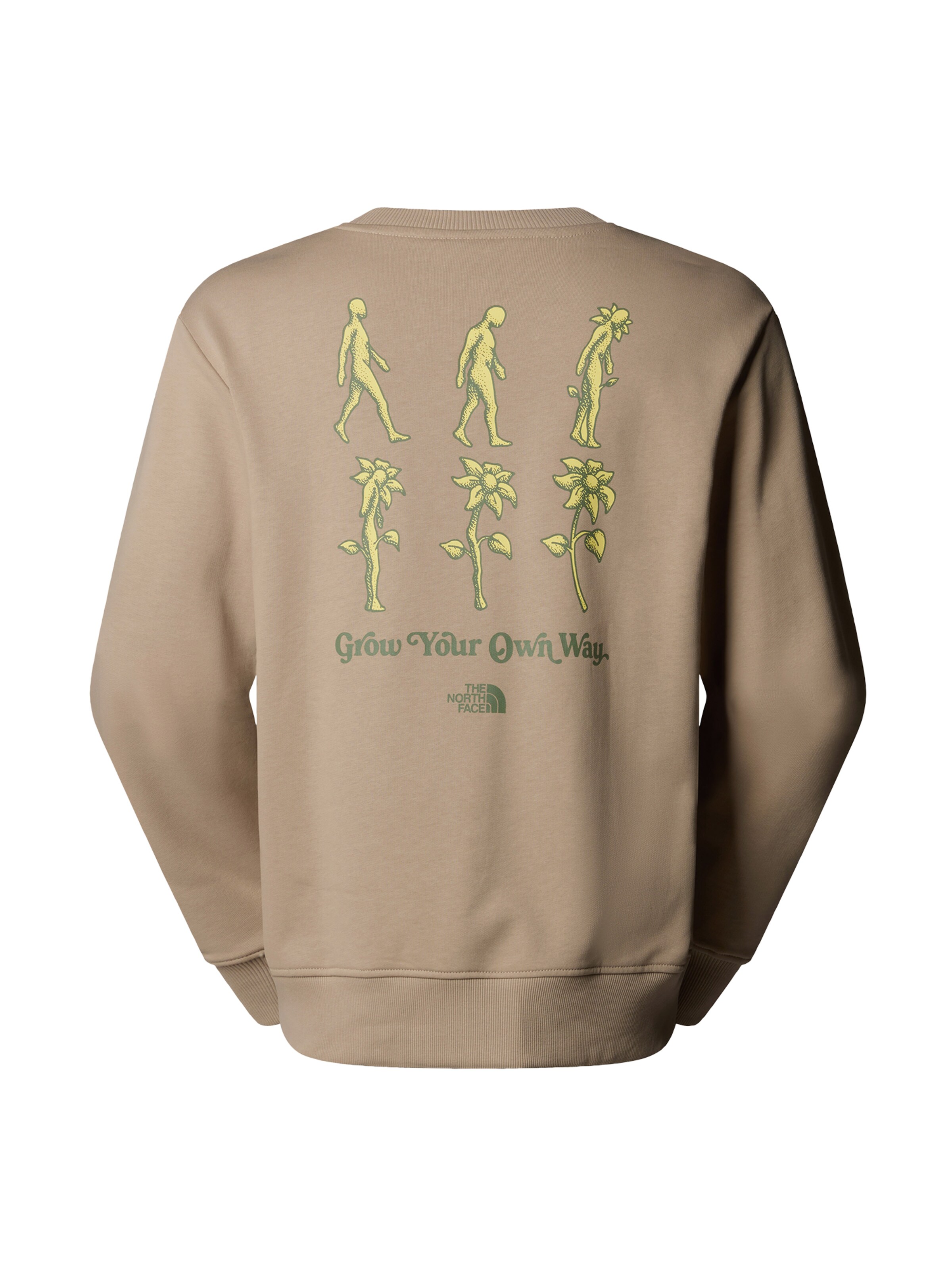 bēšs THE NORTH FACE Sportisks džemperis 'Connect'