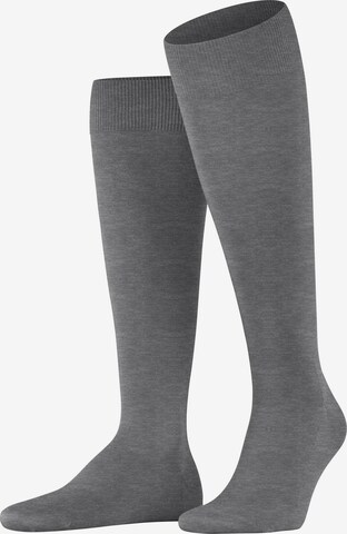 FALKE Kniestrümpfe 'ClimaWool' in Grau: Vorderseite