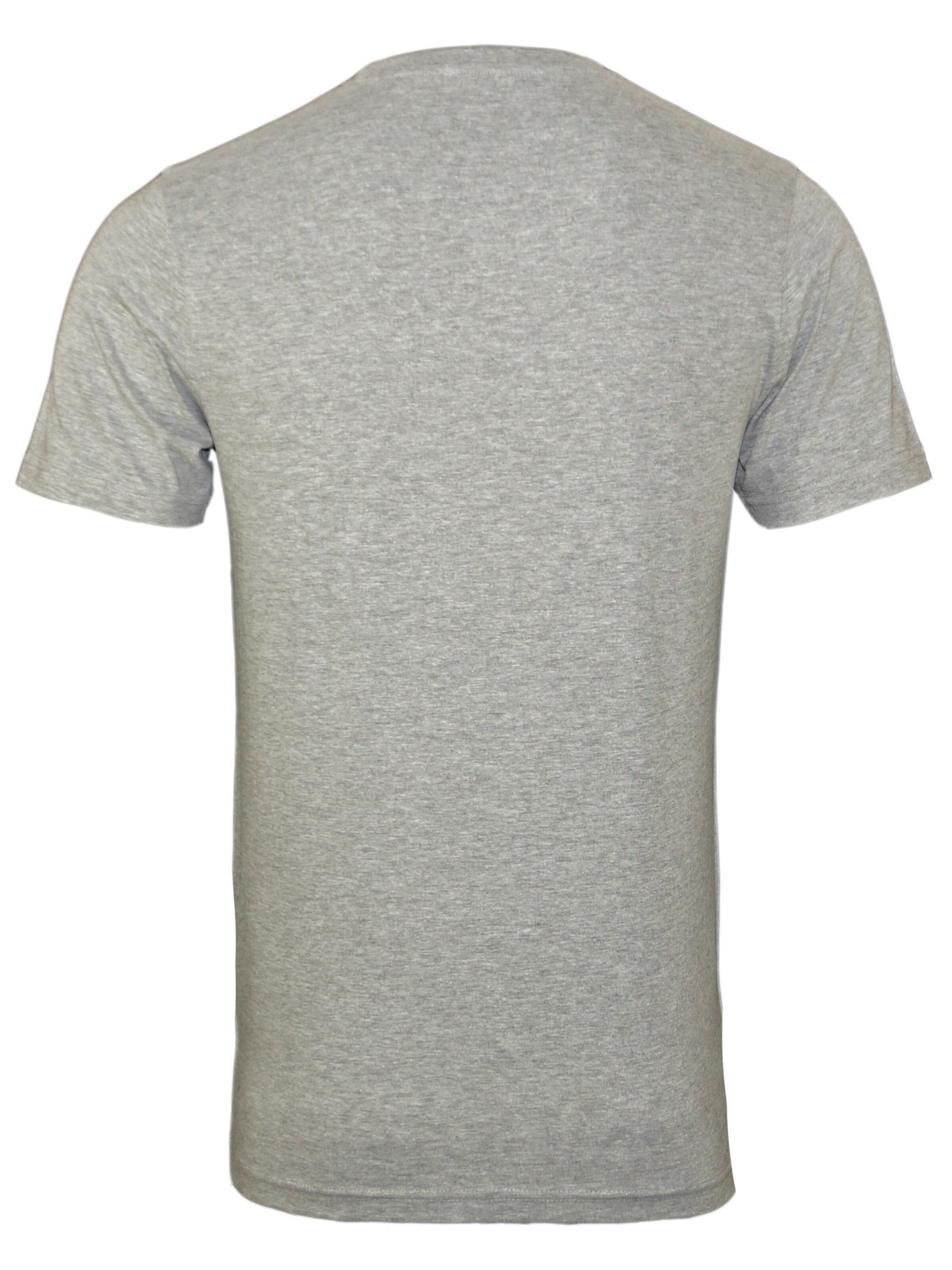 T-Shirt U.S. POLO ASSN. en gris