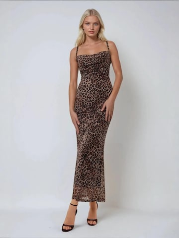 Hiccup Dress in Brown: front