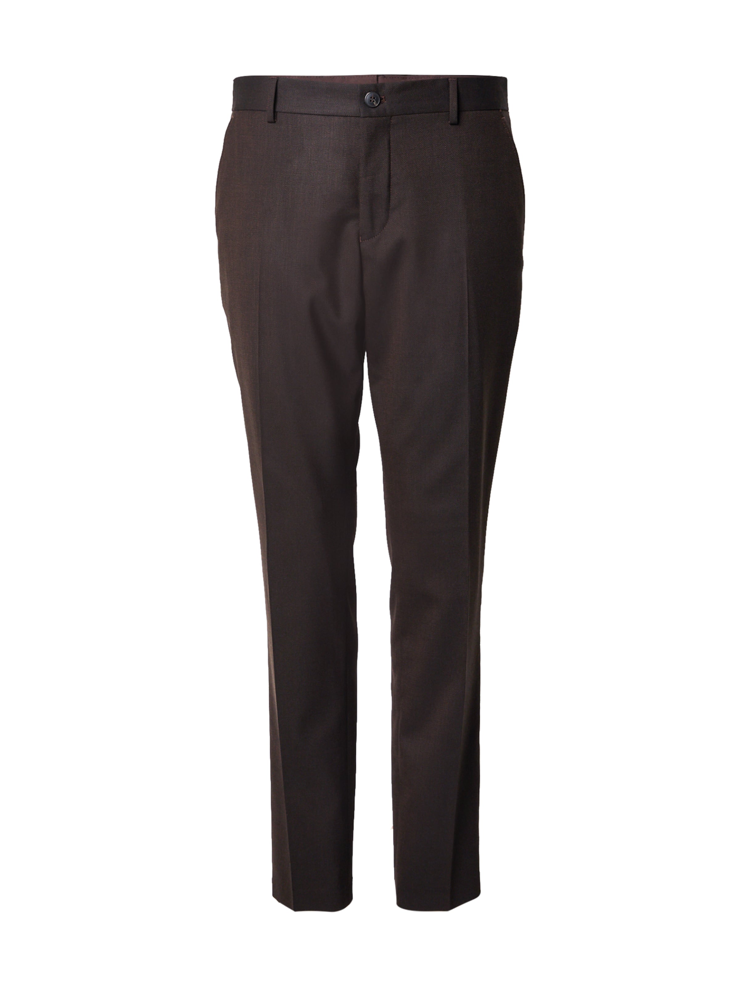 SELECTED Slim fit Pleated Pants 'SLHNeil' in Brown: front