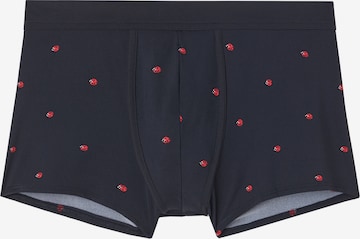 INTIMISSIMI Boxer shorts in Blue: front