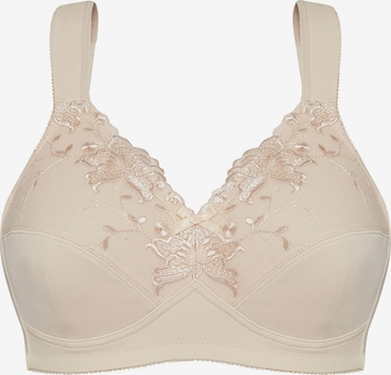 SUSA Bra 'Basic' in Brown: front