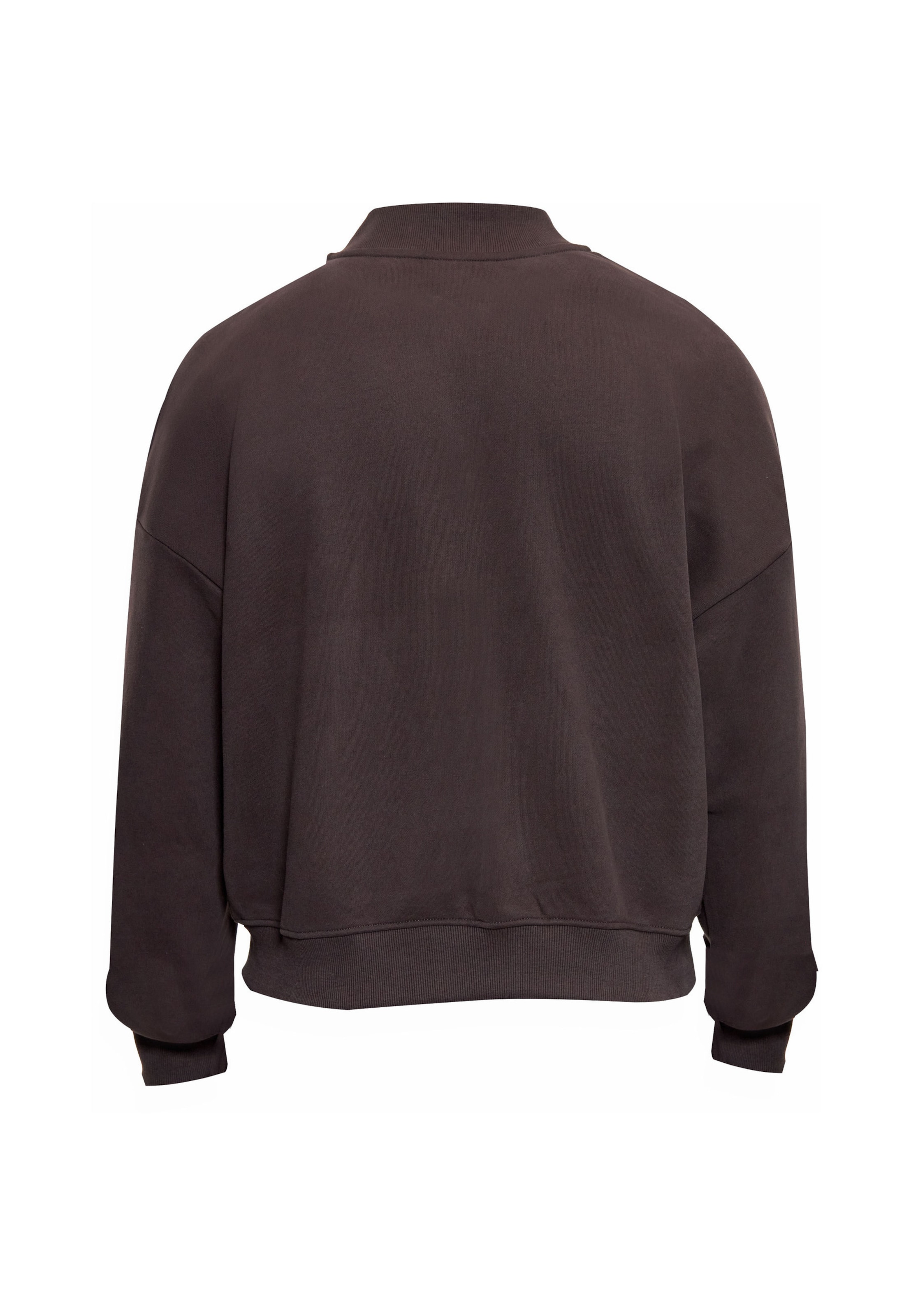 Giacca di felpa di Dropsize in marrone