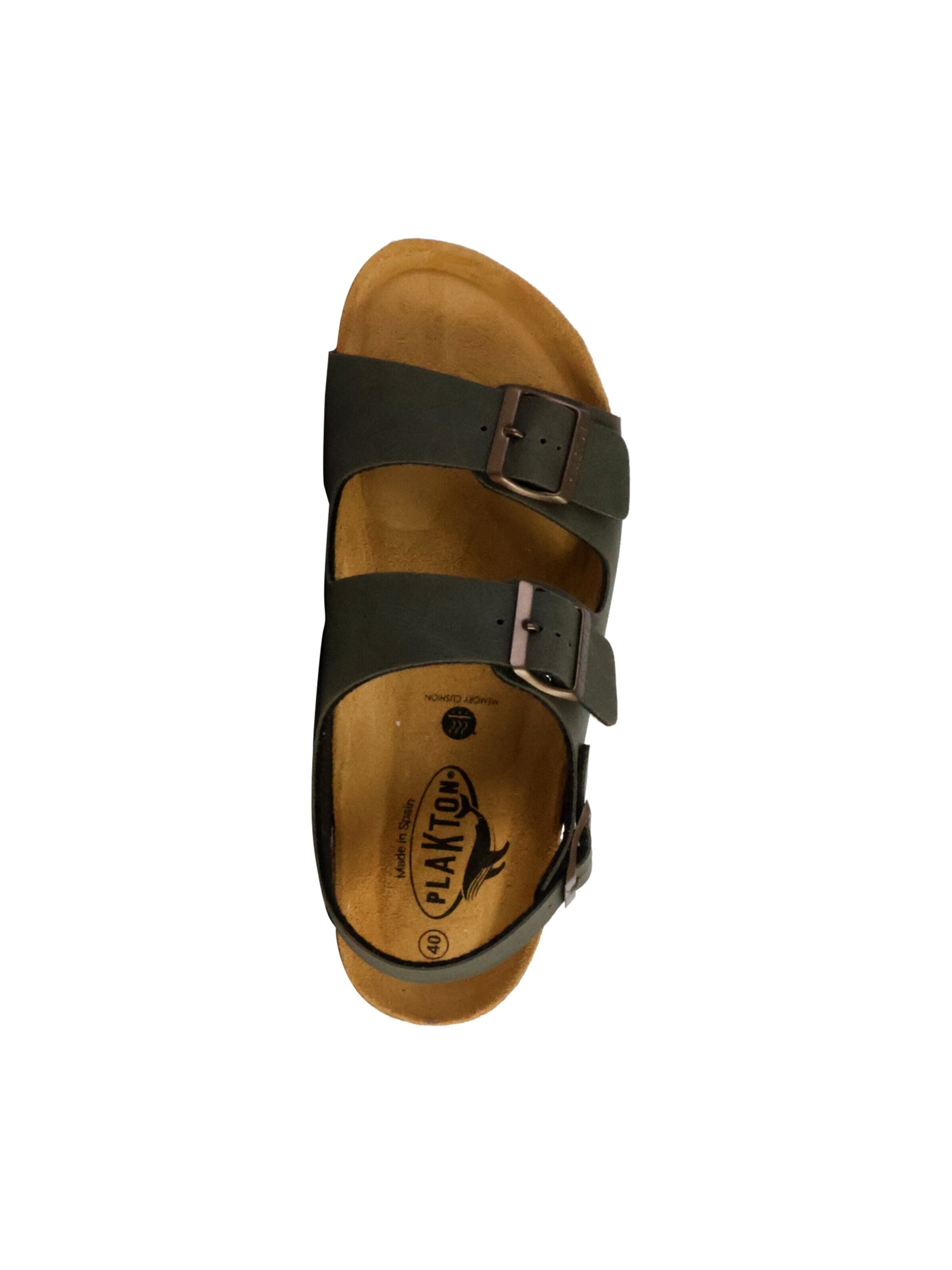 Zoccoletto di Plakton in verde
