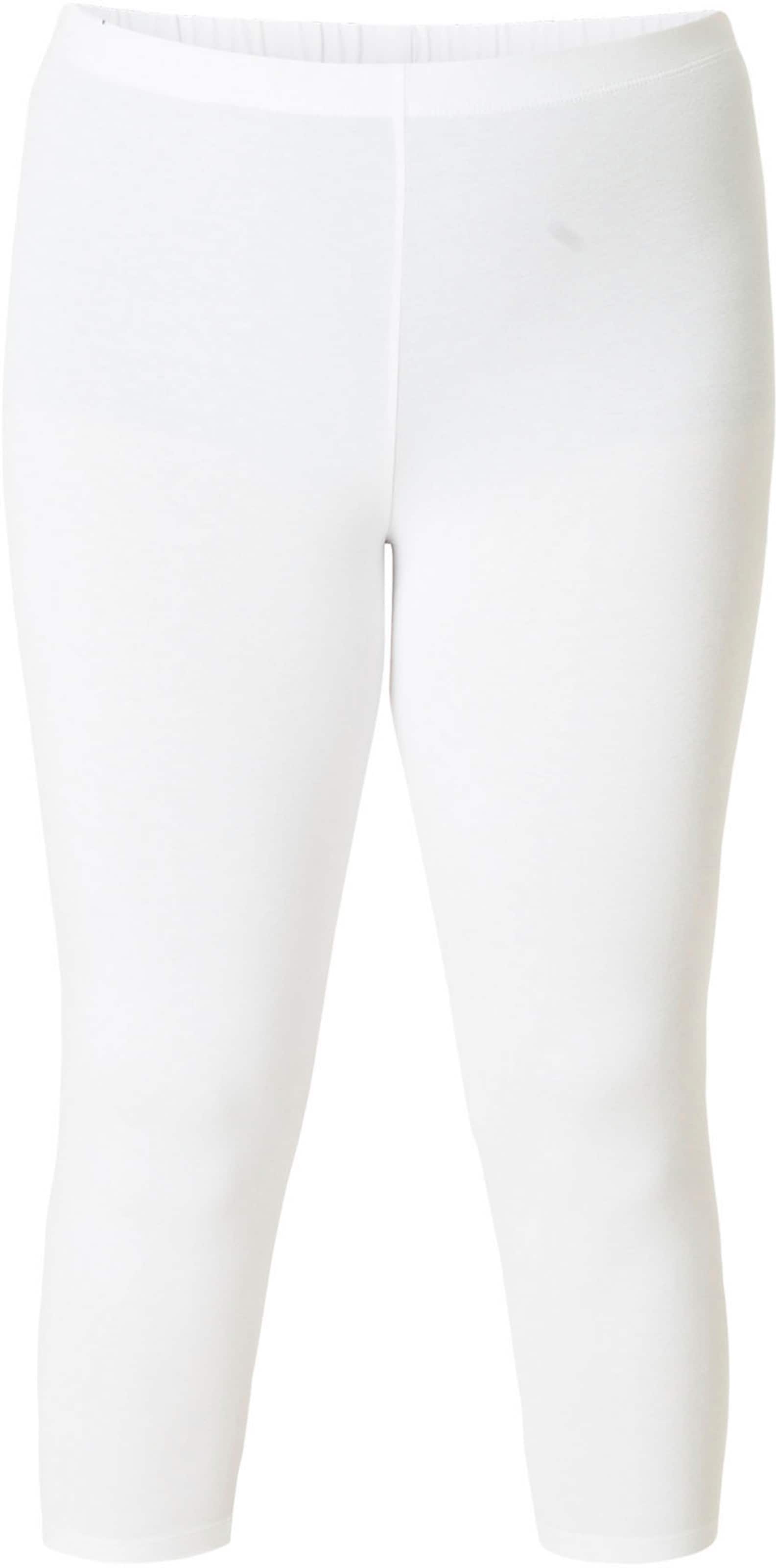 BASE LEVEL CURVY Leggings in White: front