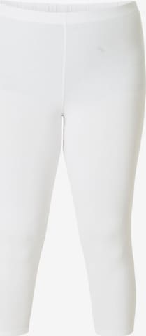 BASE LEVEL CURVY Leggings in White: front