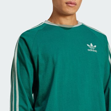 ADIDAS ORIGINALS Shirt 'Adicolor Classics' in Groen