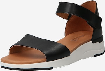 CAPRICE Sandals in Black: front