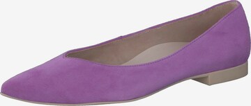 Paul Green Ballet Flats in Purple: front