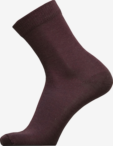UphillSport Socks in Purple: front