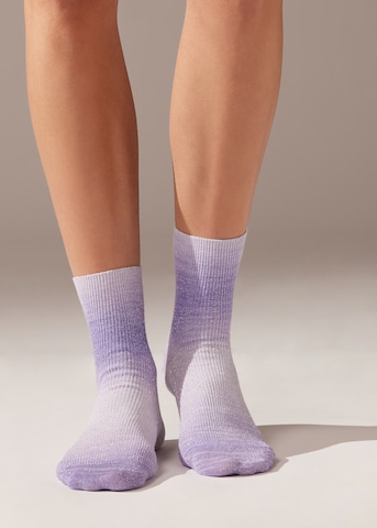 CALZEDONIA Socks in Purple: front