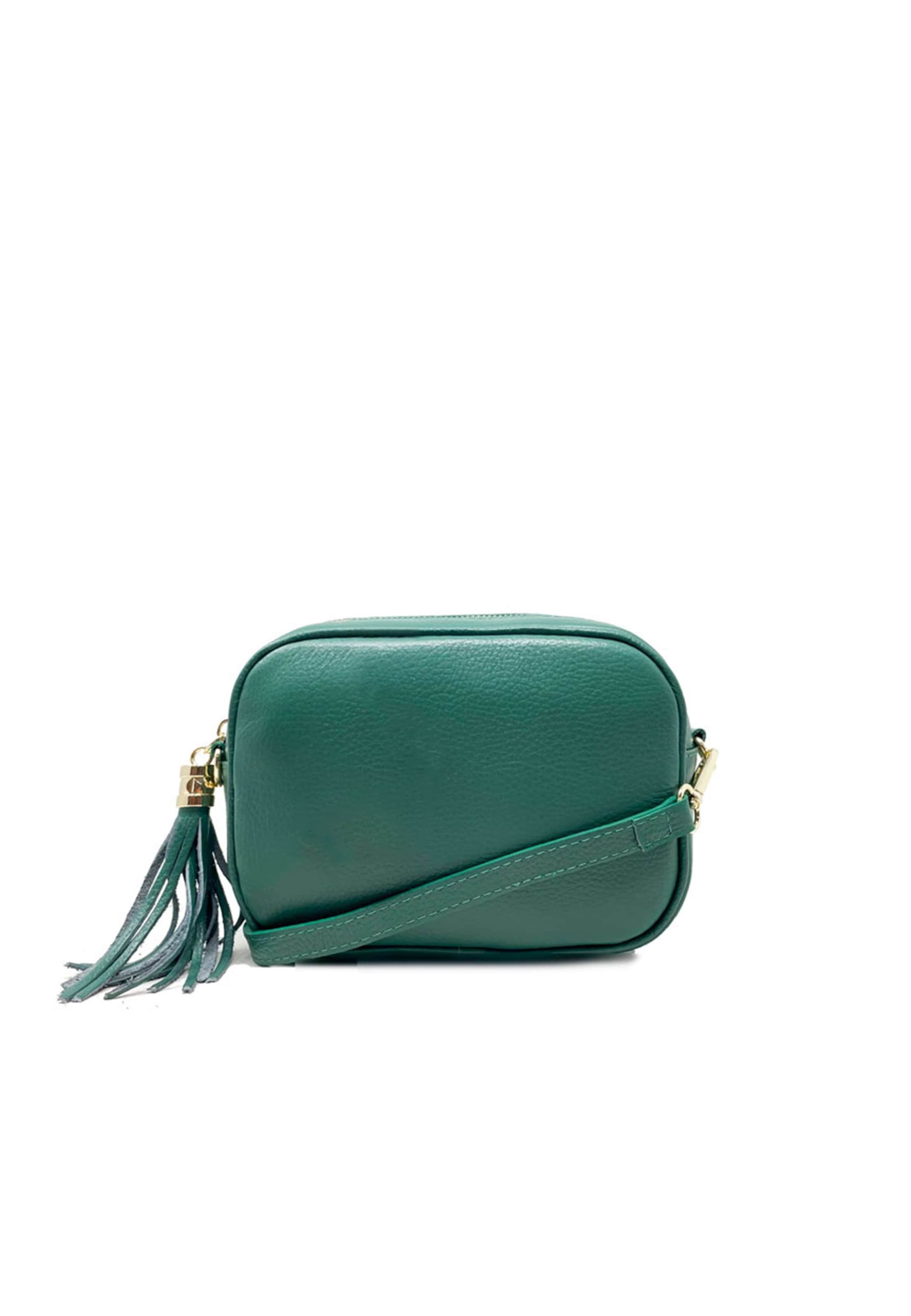 CHICCA BORSE Crossbody Bag in Green: front
