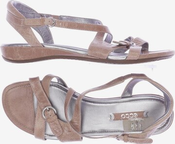 ECCO Sandals & High-Heeled Sandals in 38 in Pink: front