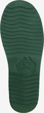 Pantoufle ' Classic ' Warmbat en vert
