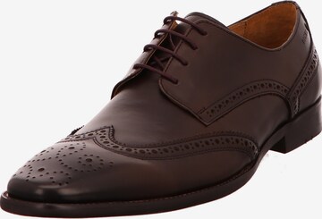 Digel Lace-Up Shoes in Brown: front