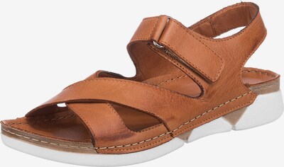 ANDREA CONTI Sandalen in cognac, Produktansicht