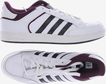 ADIDAS ORIGINALS Sneakers & Trainers in 48,5 in White: front