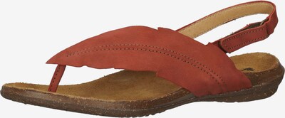 EL NATURALISTA T-Bar Sandals in Rusty red, Item view