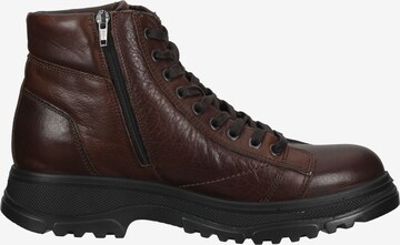 IGI&CO Lace-Up Shoes in Brown