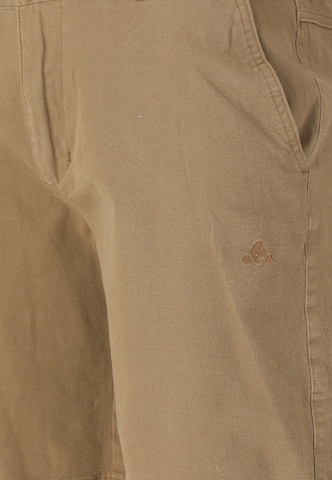 Whistler Regular Sports trousers 'Levanger' in Brown