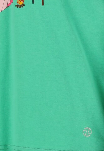 ZigZag Shirt 'Barkos' in Groen
