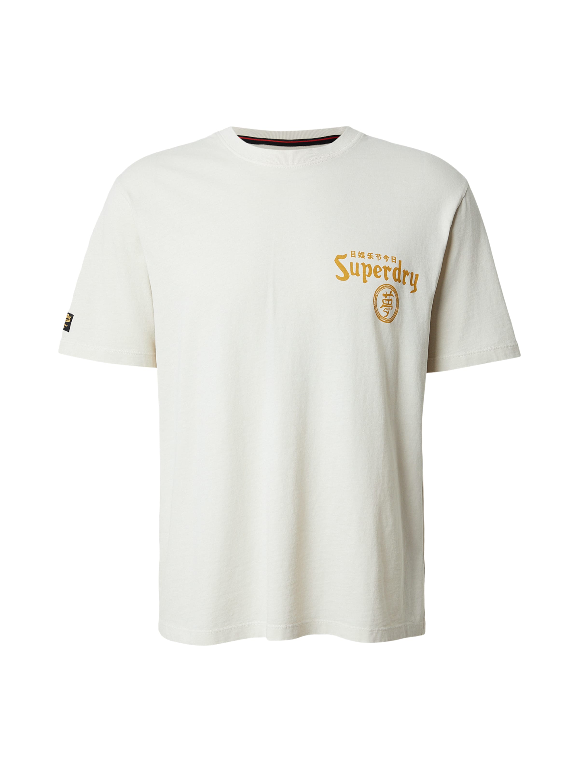 Maglietta 'TOKYO NARRATIVE' di Superdry & Co in grigio: frontale