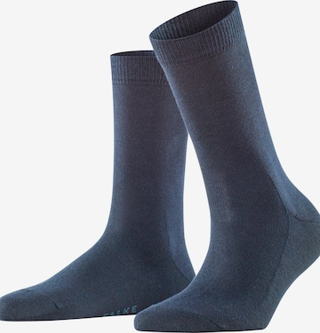 FALKE Socks 'Family' in Blue: front