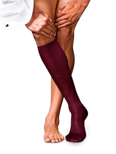 FALKE Knee High Socks 'No. 9 Pure Fil d´Écosse' in 39-40 in Bordeaux, Item view