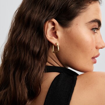 Pandora Earrings in Gold: front