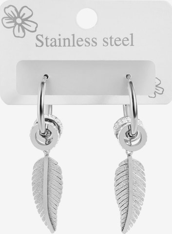 Akzent Earrings 'Jazz, hautverträglich' in Silver: front