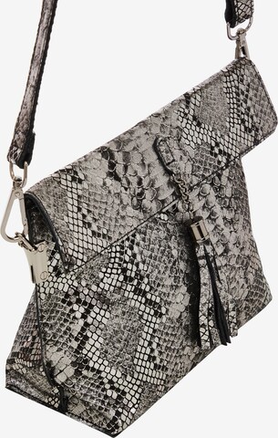 NAEMI Crossbody Bag in Silver