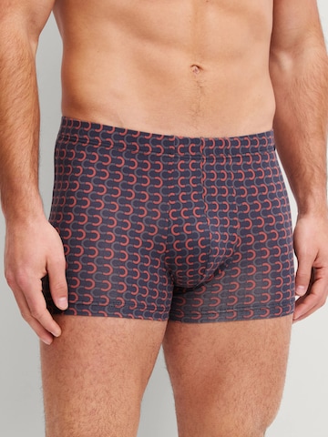 CALIDA Boxer shorts 'Grafic Cotton' in Grey