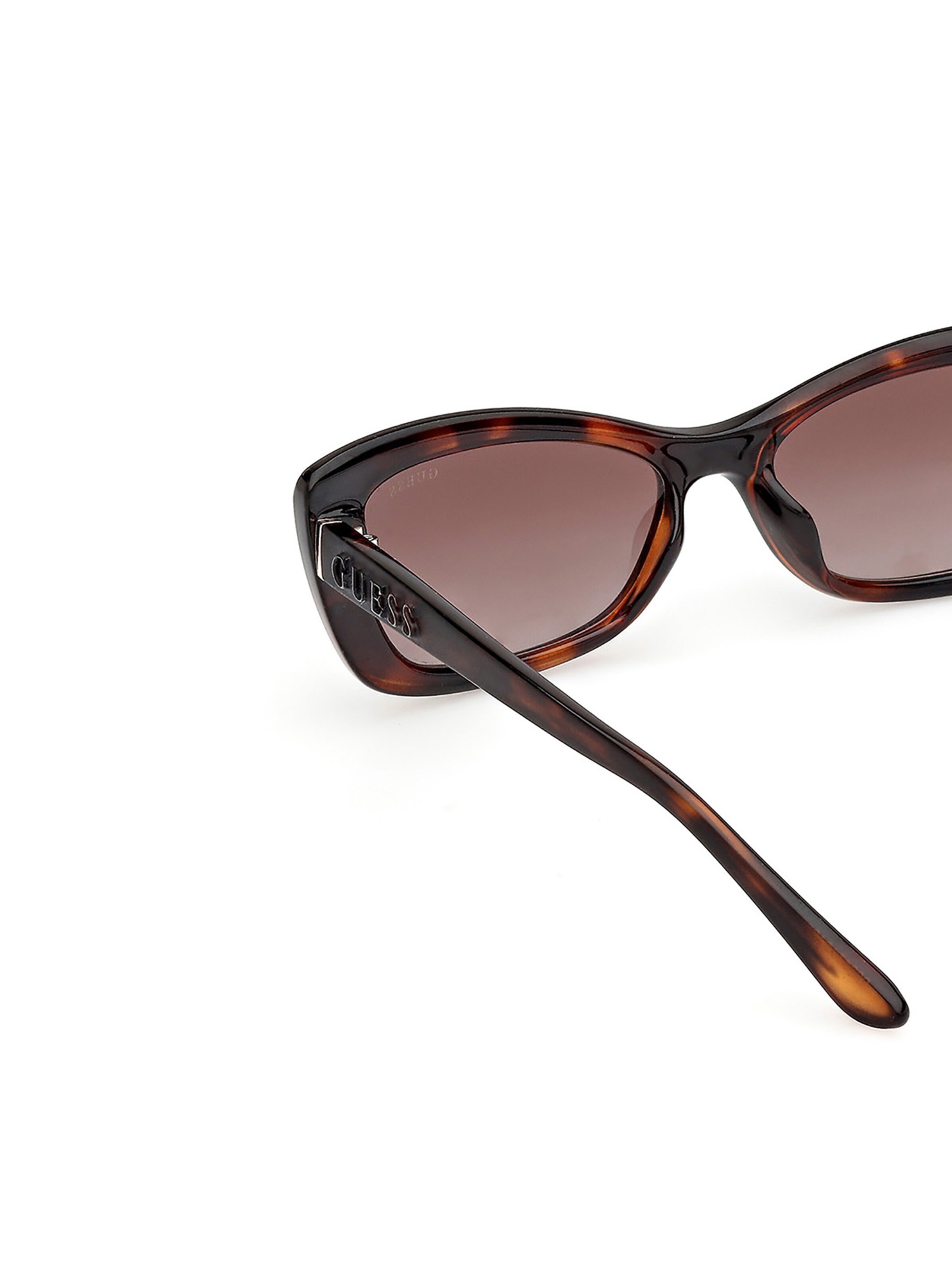 GUESS Sunglasses in Brown