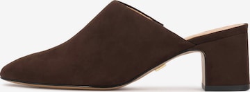 KazarKlompe - smeđa boja: prednji dio