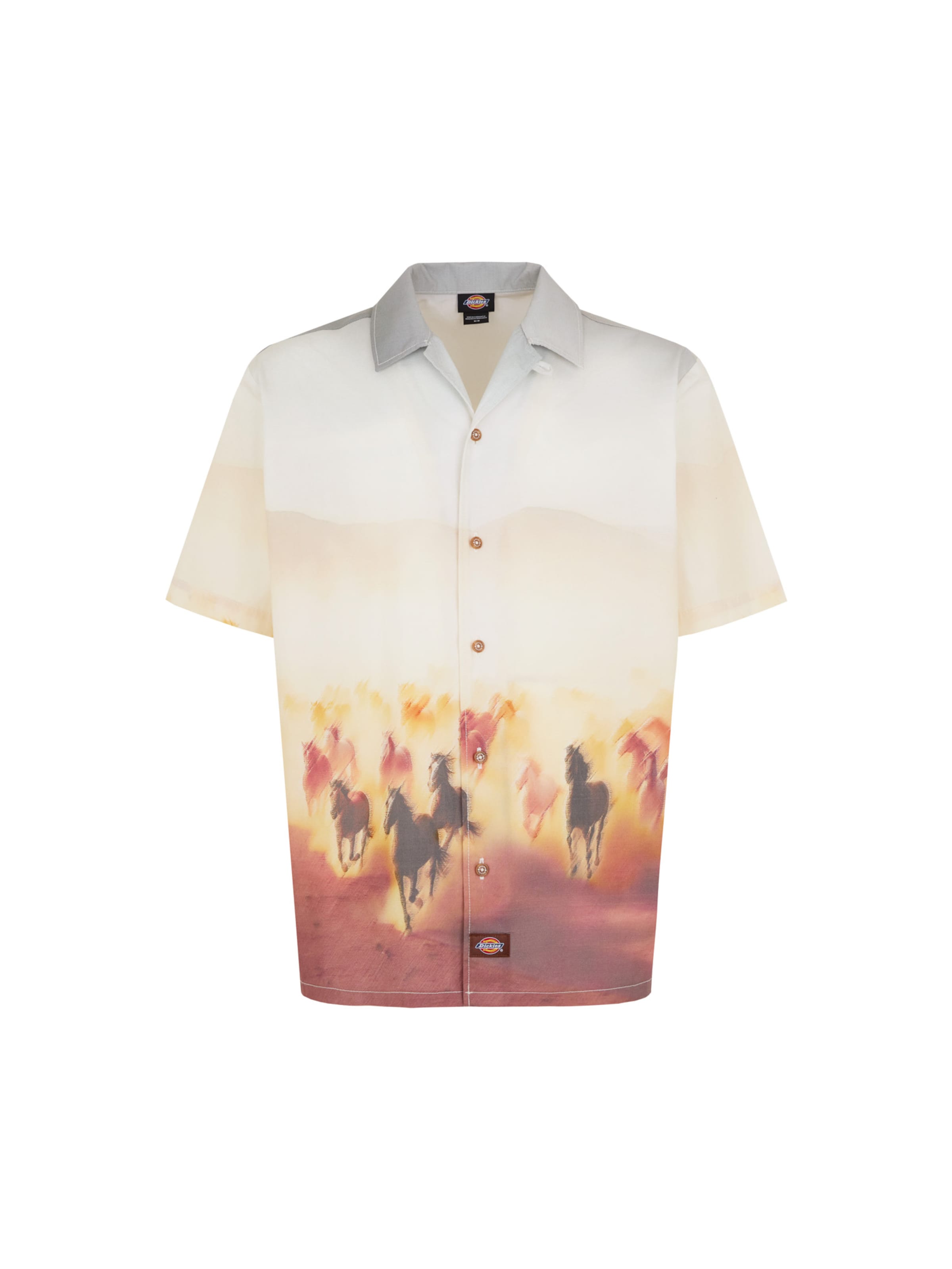 DICKIES Pohodlné nošení Košile 'Running Wild' – mix barev: přední strana