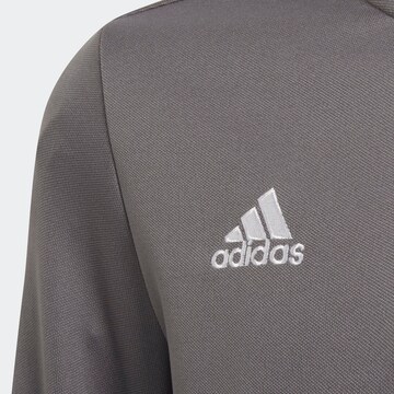 T-Shirt fonctionnel 'Entrada 22'' ADIDAS PERFORMANCE en gris