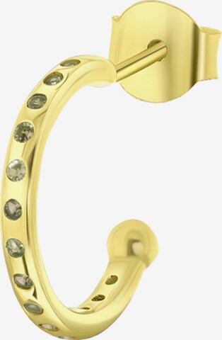 Lucardi Earrings in Gold: front