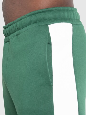 Effilé Pantalon 'Jayden' Smilodox en vert