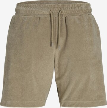 JACK & JONES Regular Pants in Brown: front