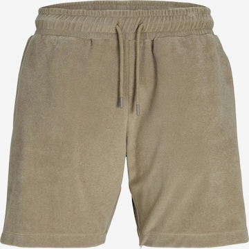 JACK & JONES Regular Pants in Brown: front
