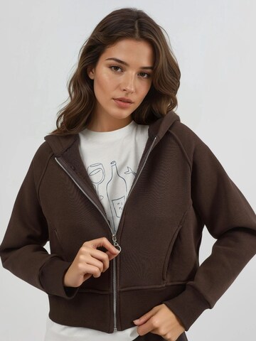 Sweat-shirt 'Kapuzenpullover' Hiccup en marron