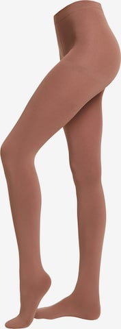 CALZEDONIA Tights 'THERMO' in Brown: front