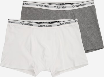 Sous-vêtements Calvin Klein Underwear en gris : devant