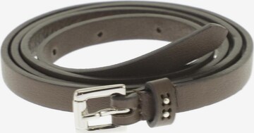 Peserico Belt in One size in Brown: front