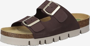 DR. BRINKMANN Mules 'Pantoletten BONILLO' in Brown: front