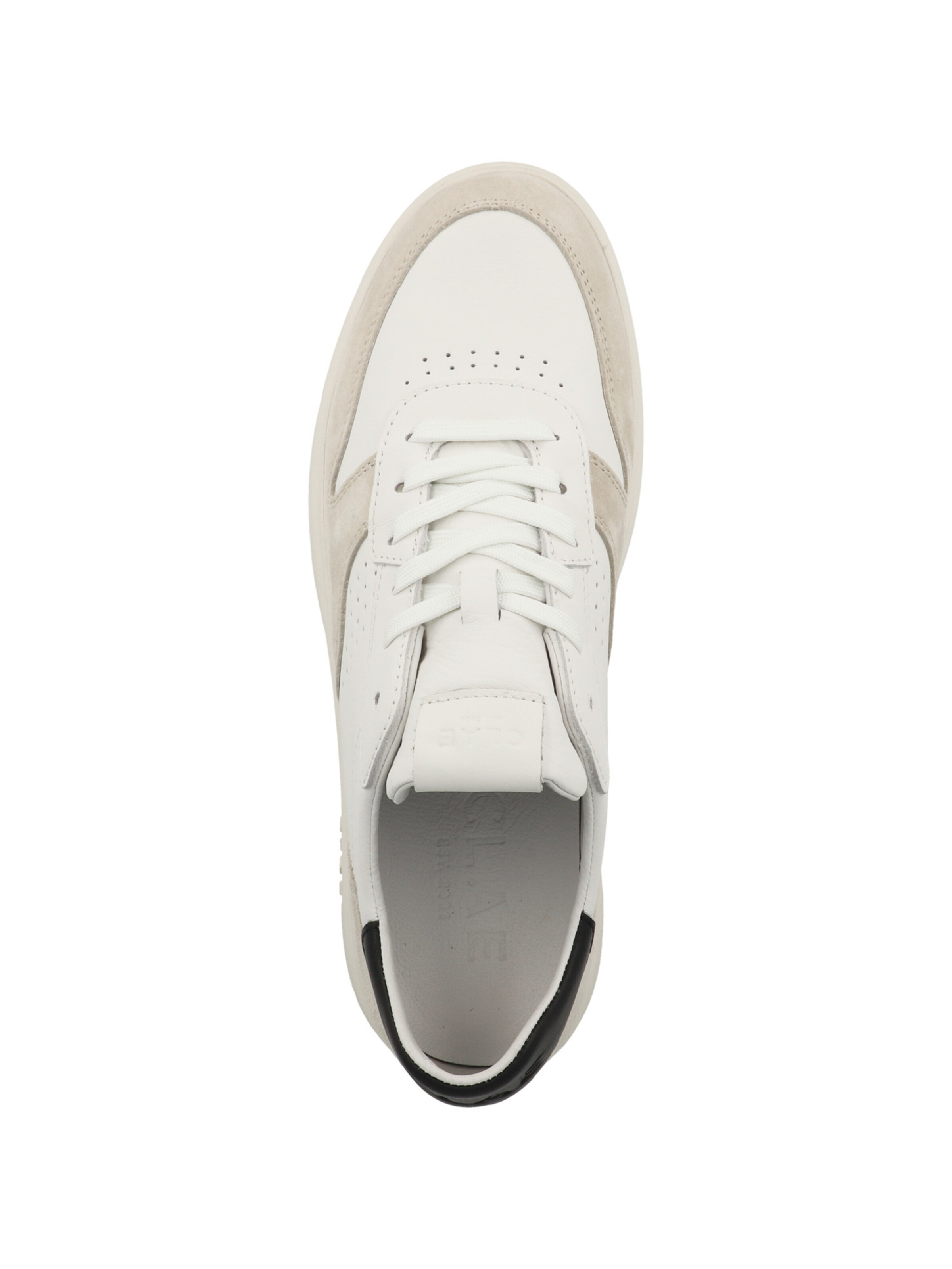 CLAE Sneaker 'Moses' in Beige