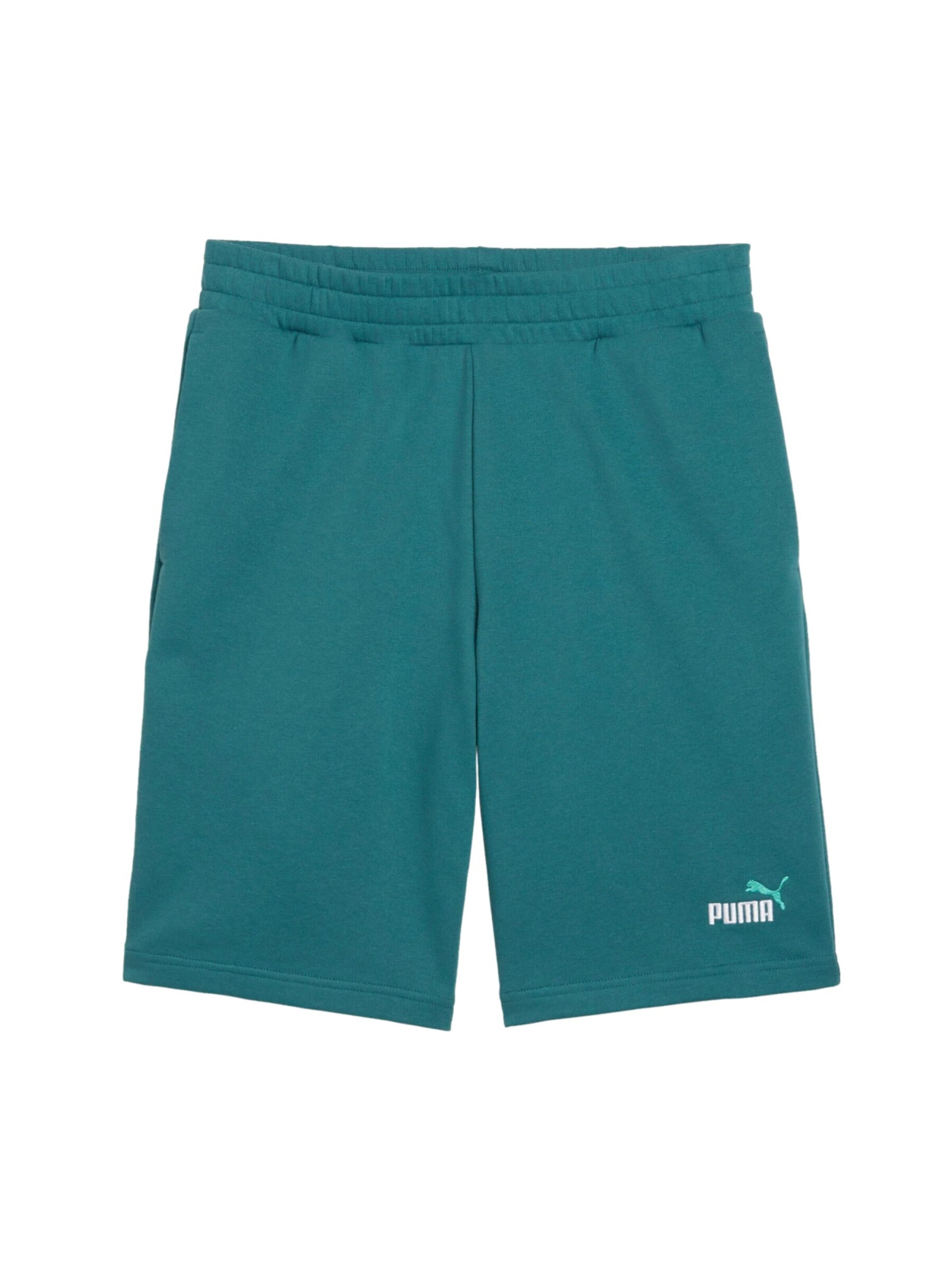 PUMA Workout Pants 'ESS 2 Color No. 1' in Green: front