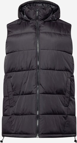 Gilet 'NEW AURORA' di Noisy May Curve in nero: frontale