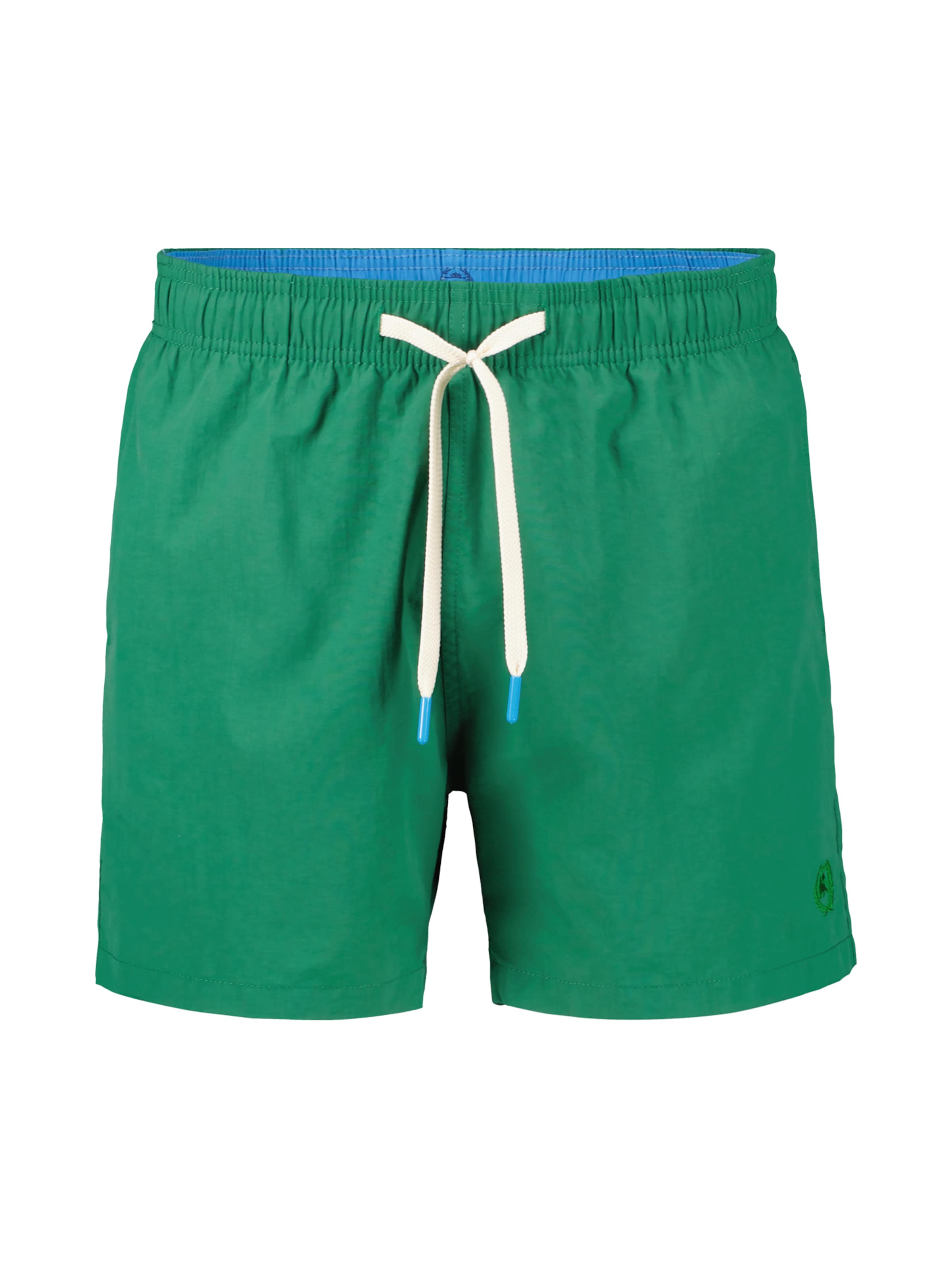 LERROS Regular Trousers in Green: front